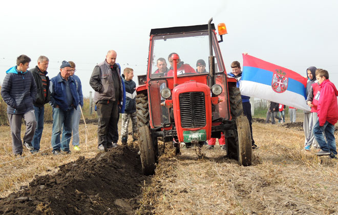 Osnovci iz Krivelja najbolji na takmičenju mladih orača Srbije u B. Brestovcu