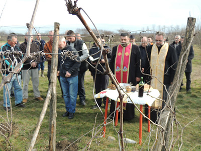 Pravoslavni vernici slave Svetog Trifuna