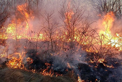 Ne spaljivati travu i nisko rastinje na otvorenom zbog opasnosti od požara