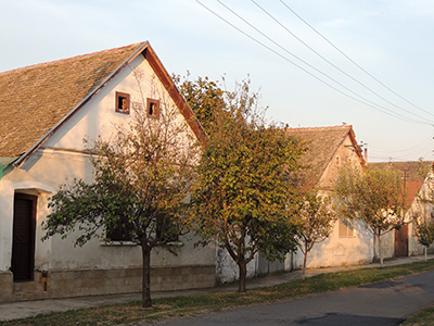 Novi konkurs za kupovinu seoskih kuća za bračne parove u Vojvodini