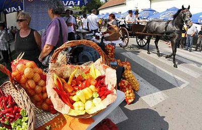 Podrška manifestacijama u oblasti poljoprivrede i ruralnog razvoja