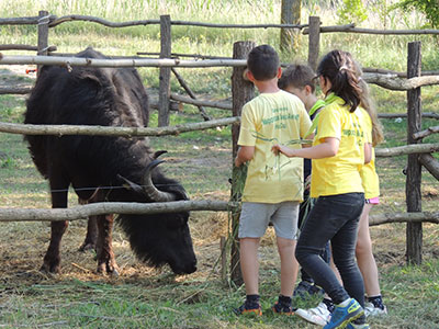 Mladi izviđači upoznali nove stanovnike Bager bare