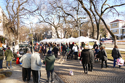 Na humanitarnom bazaru za Ninu, Jovanu i Nikolu sakupljeno 144.400 dinara (FOTO)