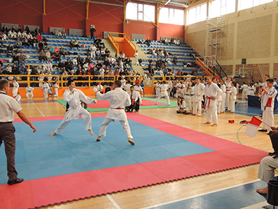 Karate turnir Zlatna pesnica u subotu u Odžacima